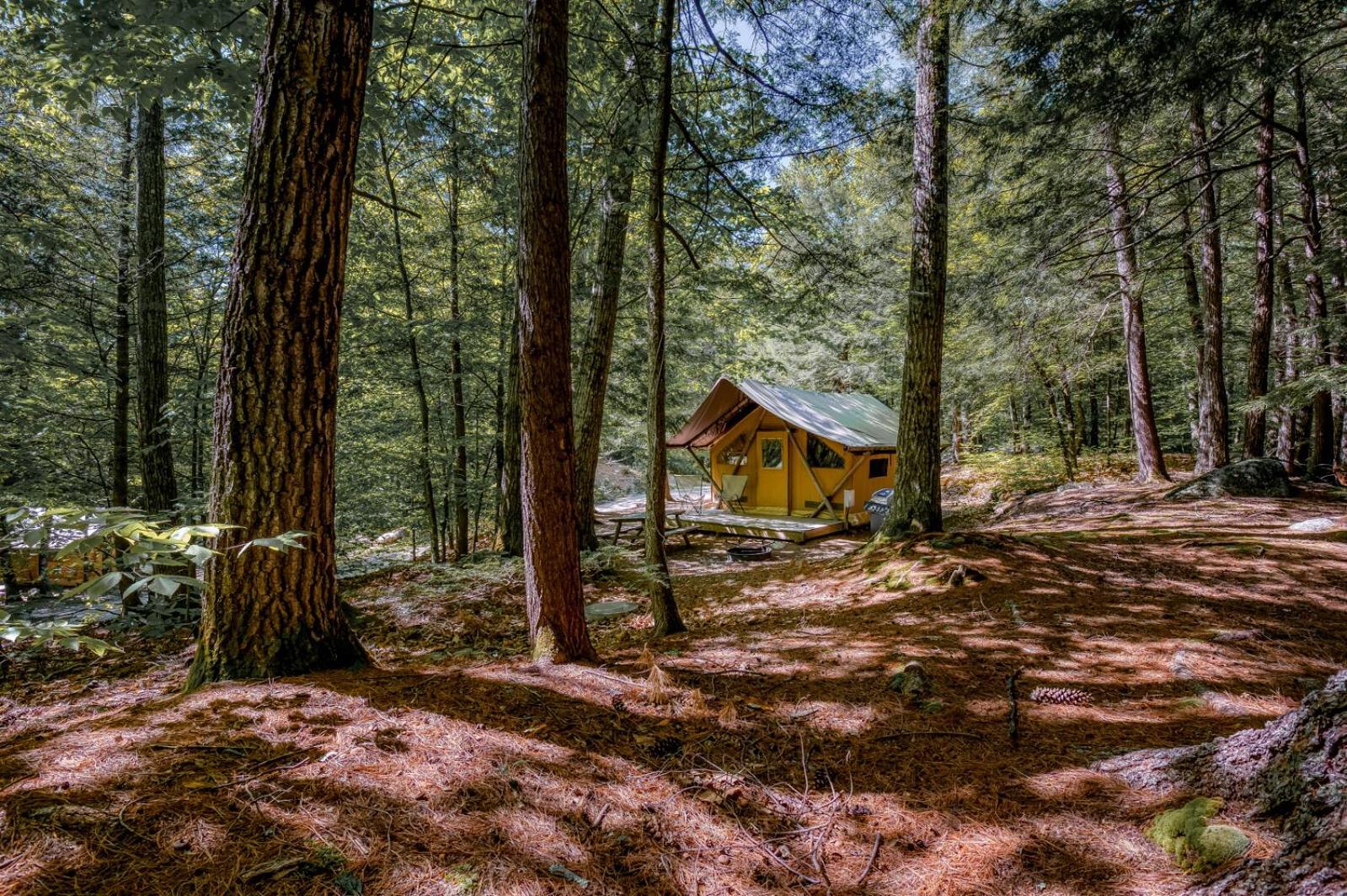 Huttopia White Mountains Albany Esterno foto