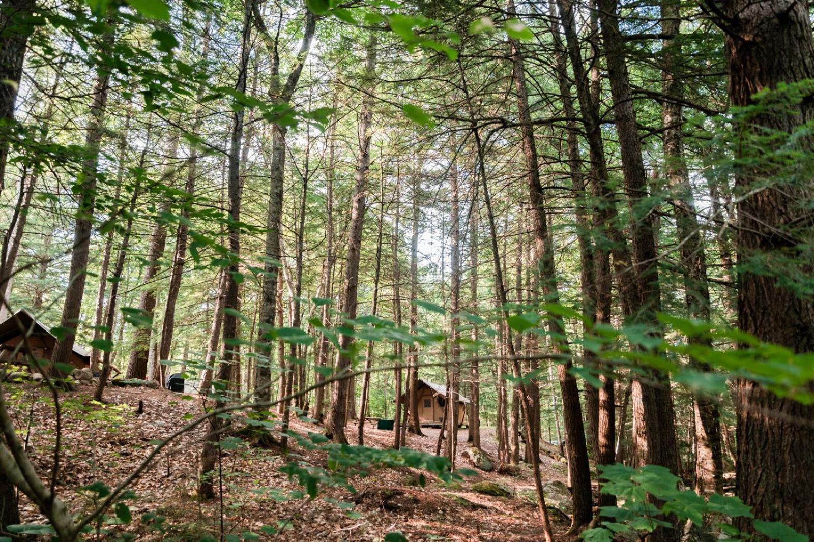 Huttopia White Mountains Albany Esterno foto