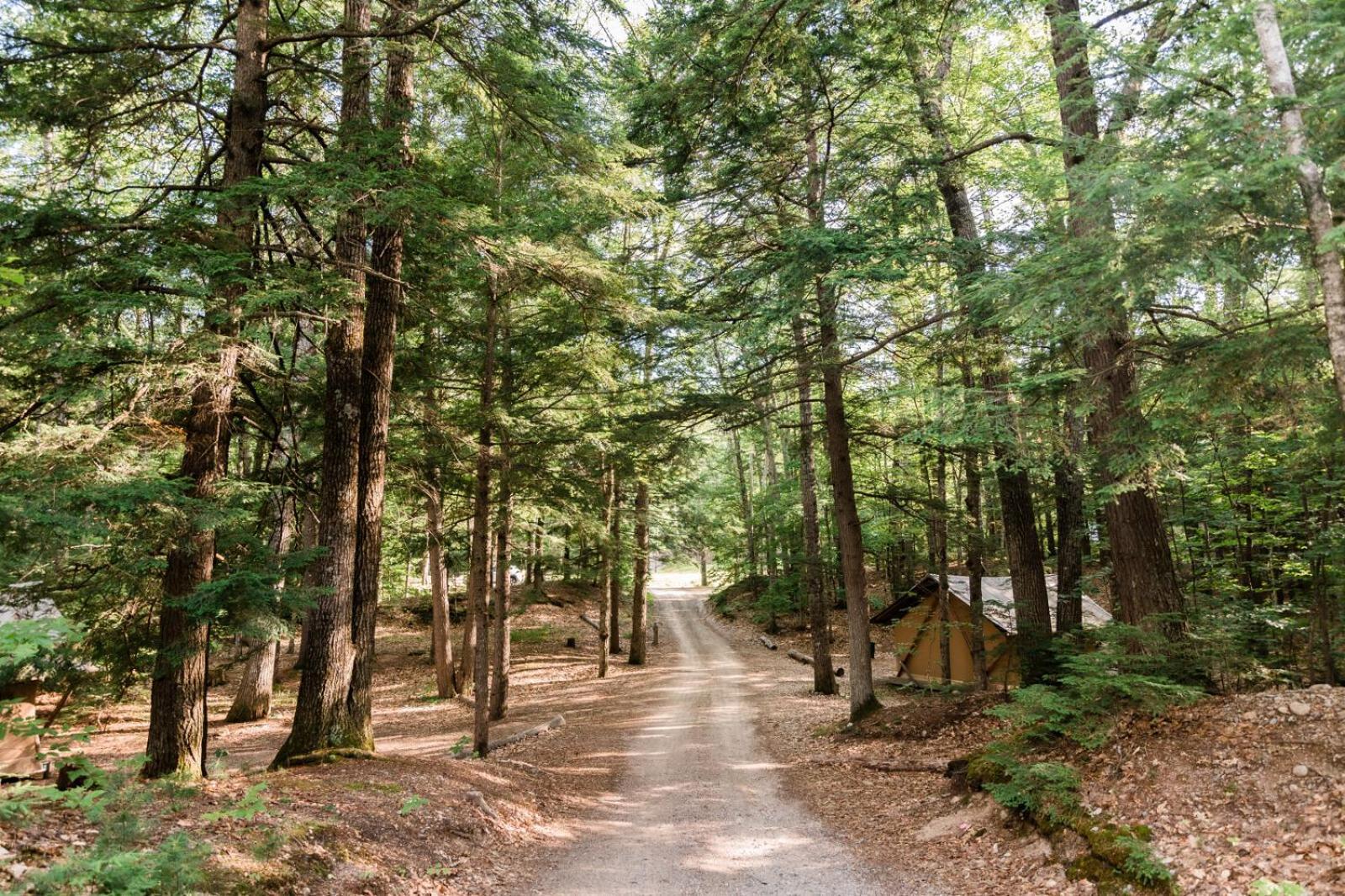Huttopia White Mountains Albany Esterno foto